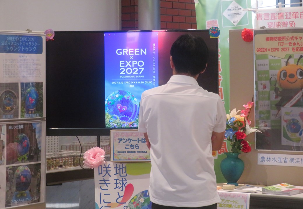 モニターで動画を見ている様子