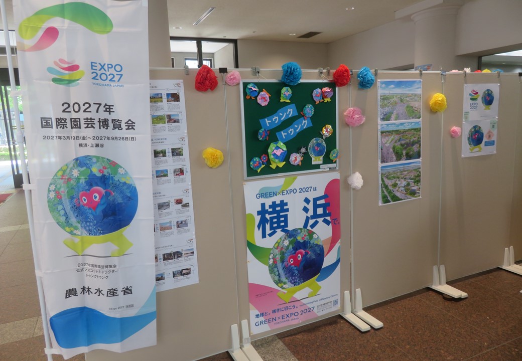 展示全体の様子