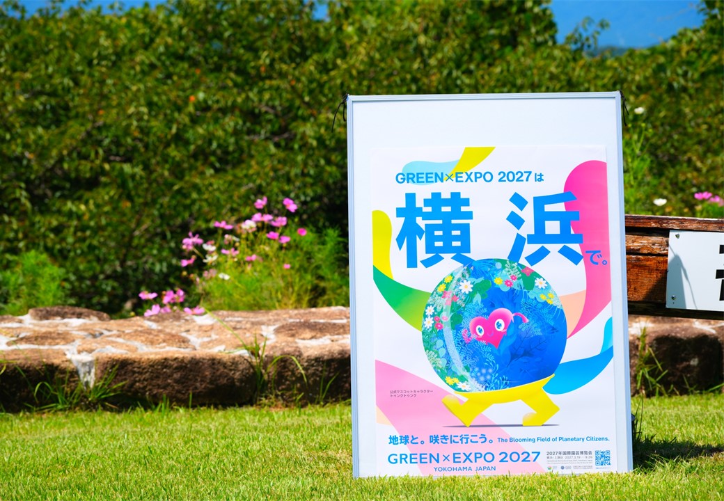 コスモスをバックにしたポスターの写真