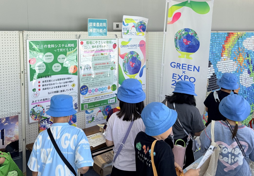 児童が展示を見ている様子