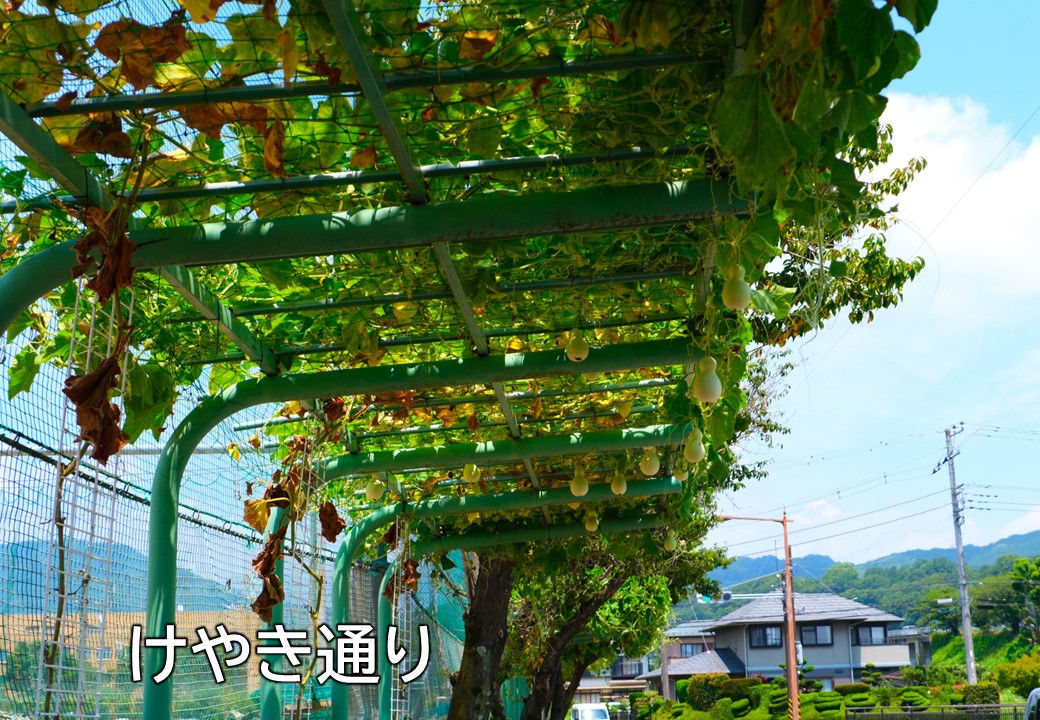 大井町けやき通りのひょうたん写真