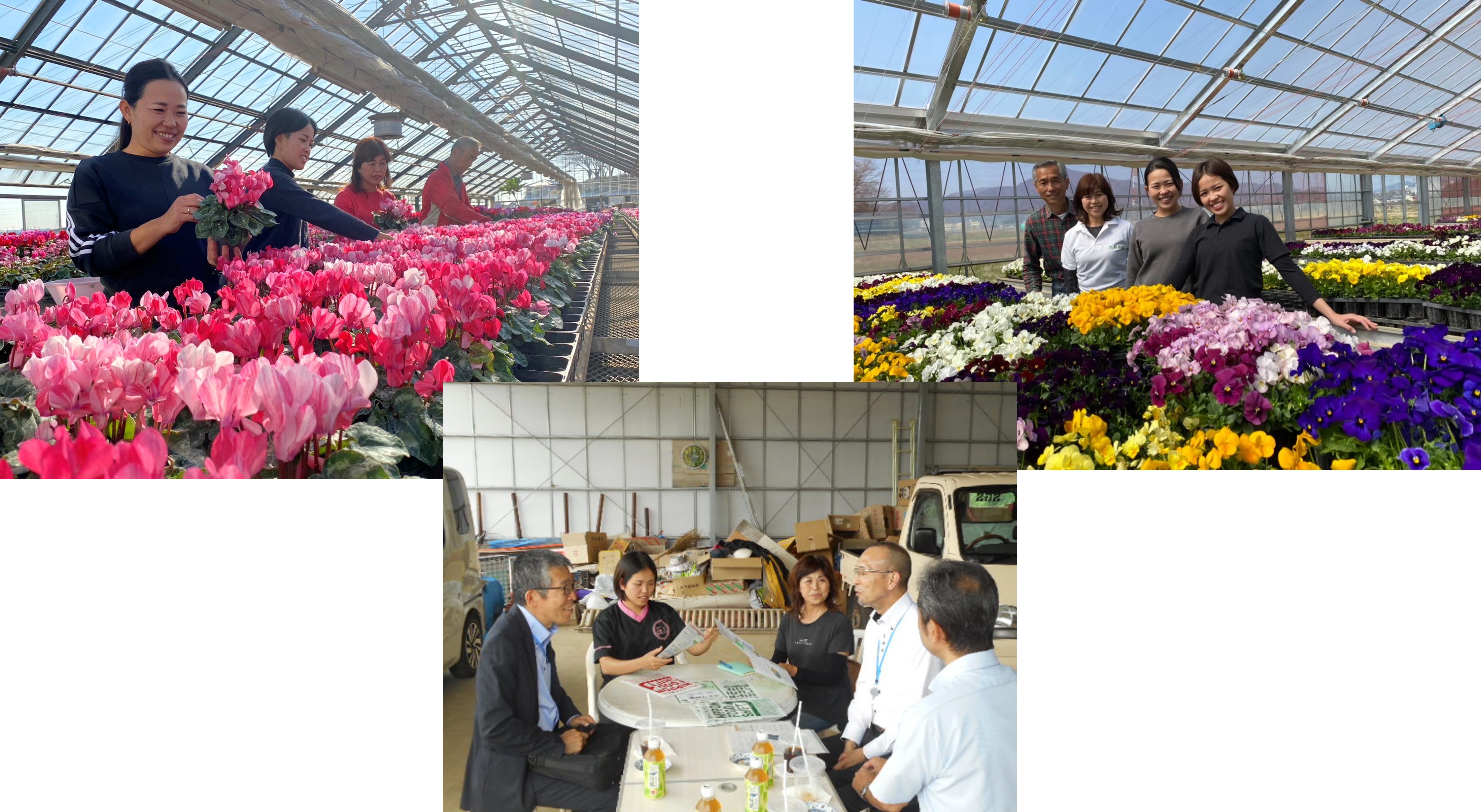 生産者の皆様（加藤花園）