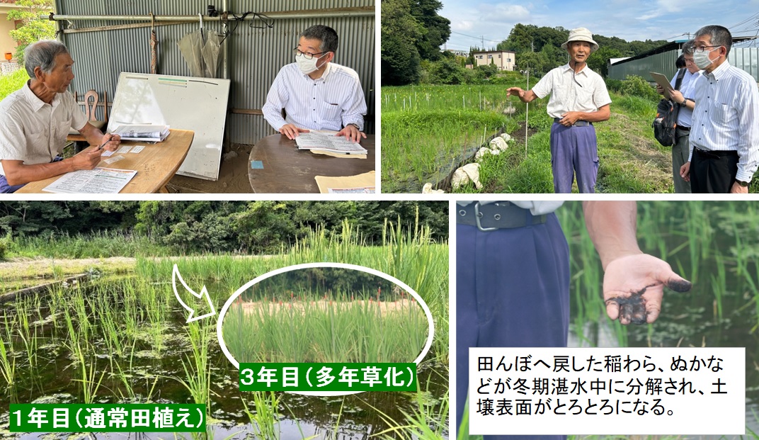 合資会社 大家族（生産者）