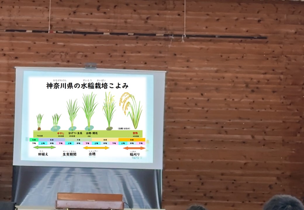 神奈川県の水稲栽培の歴史についての話をしているところ