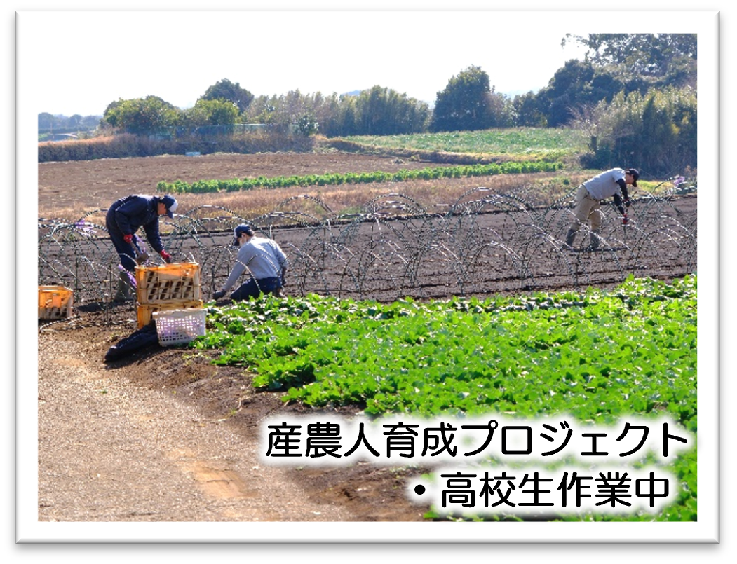 産農人育成プロジェクト 高校生農作業の様子