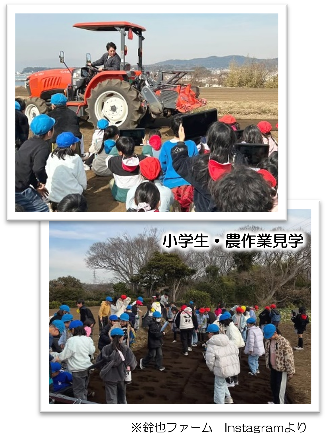 小学生の農作業見学の様子