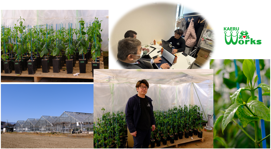 カエルワークスとの意見交換の様子