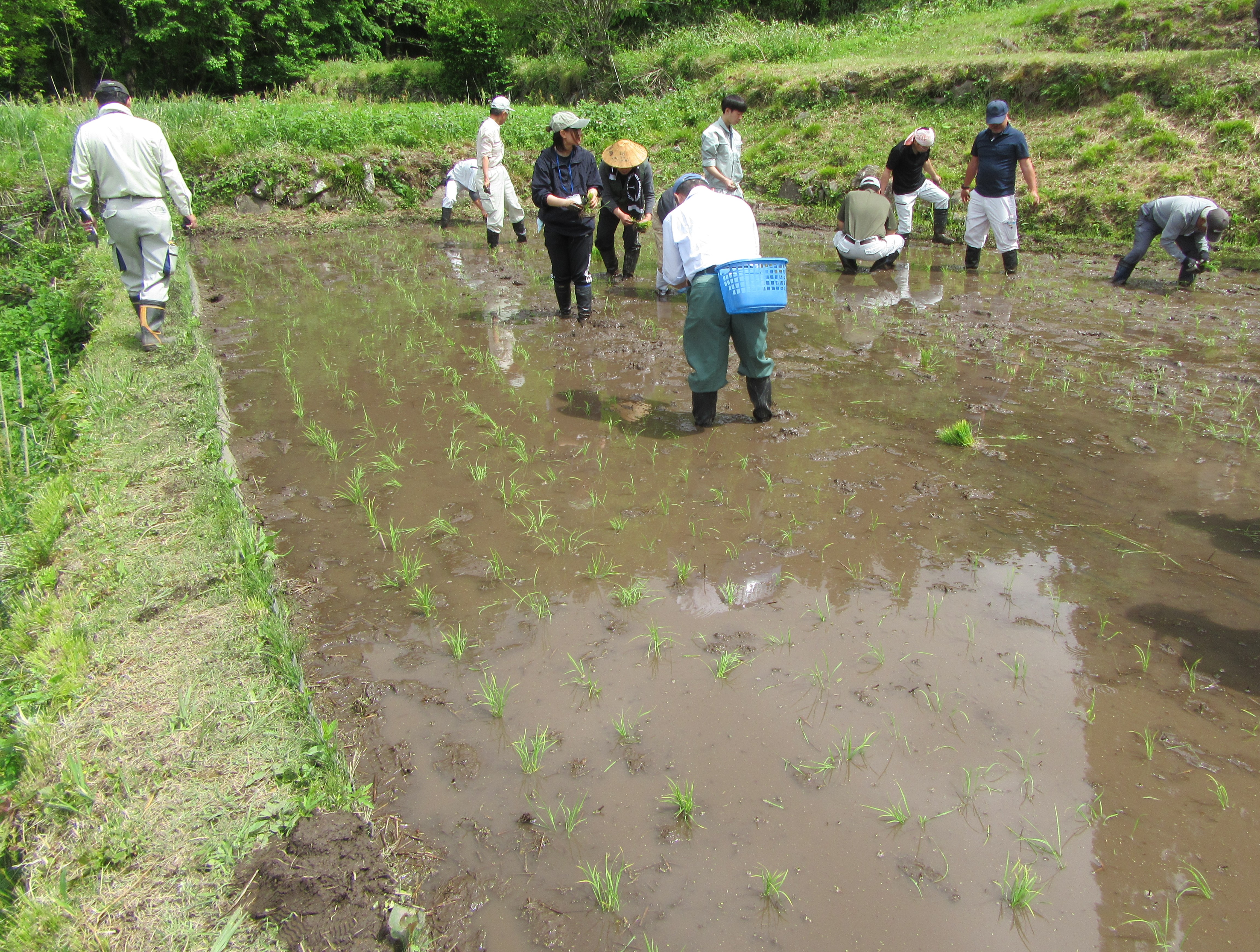 240516_福島棚田2.JPG