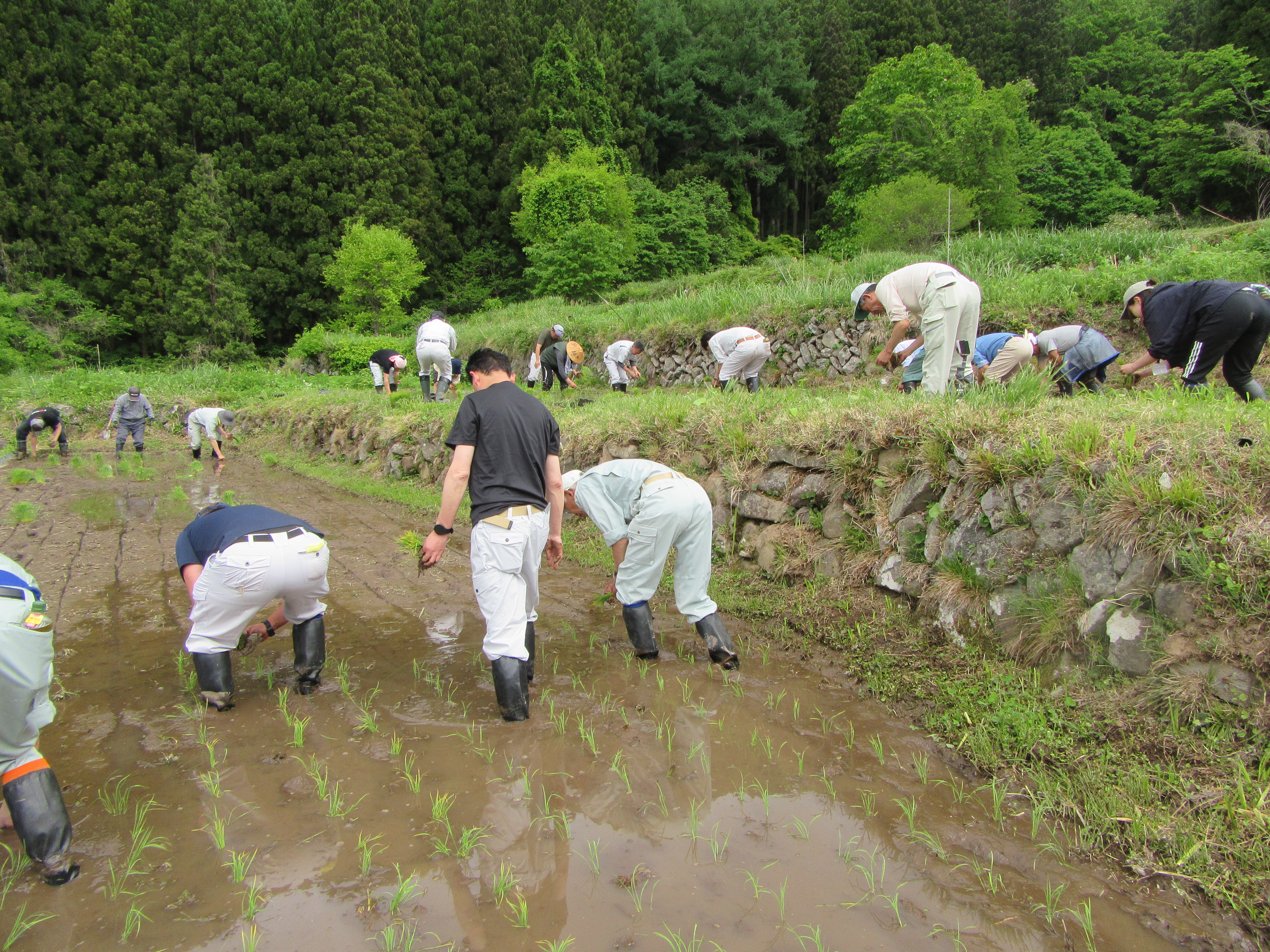 240516_福島棚田3.JPG
