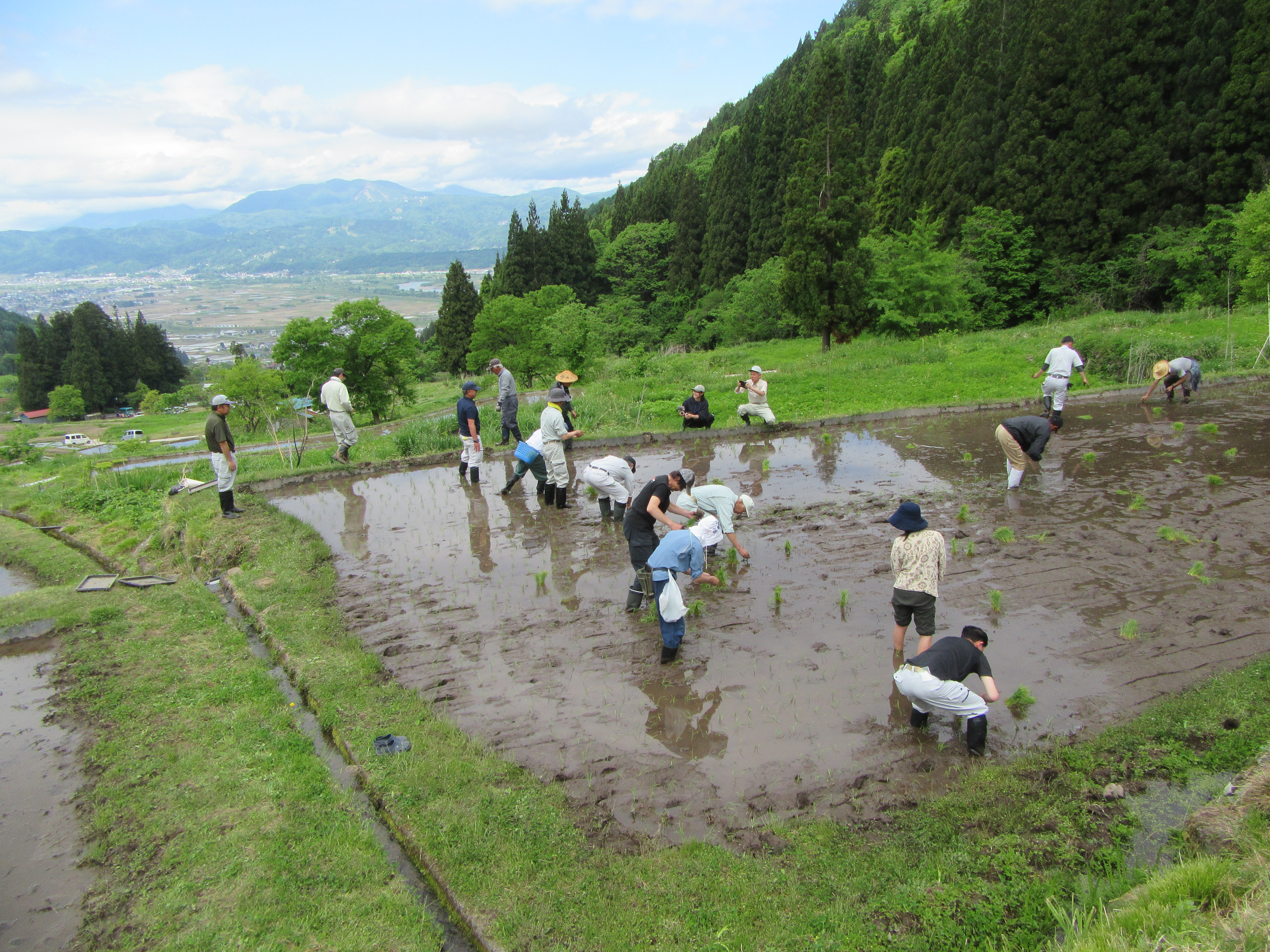 240516_福島棚田4.JPG