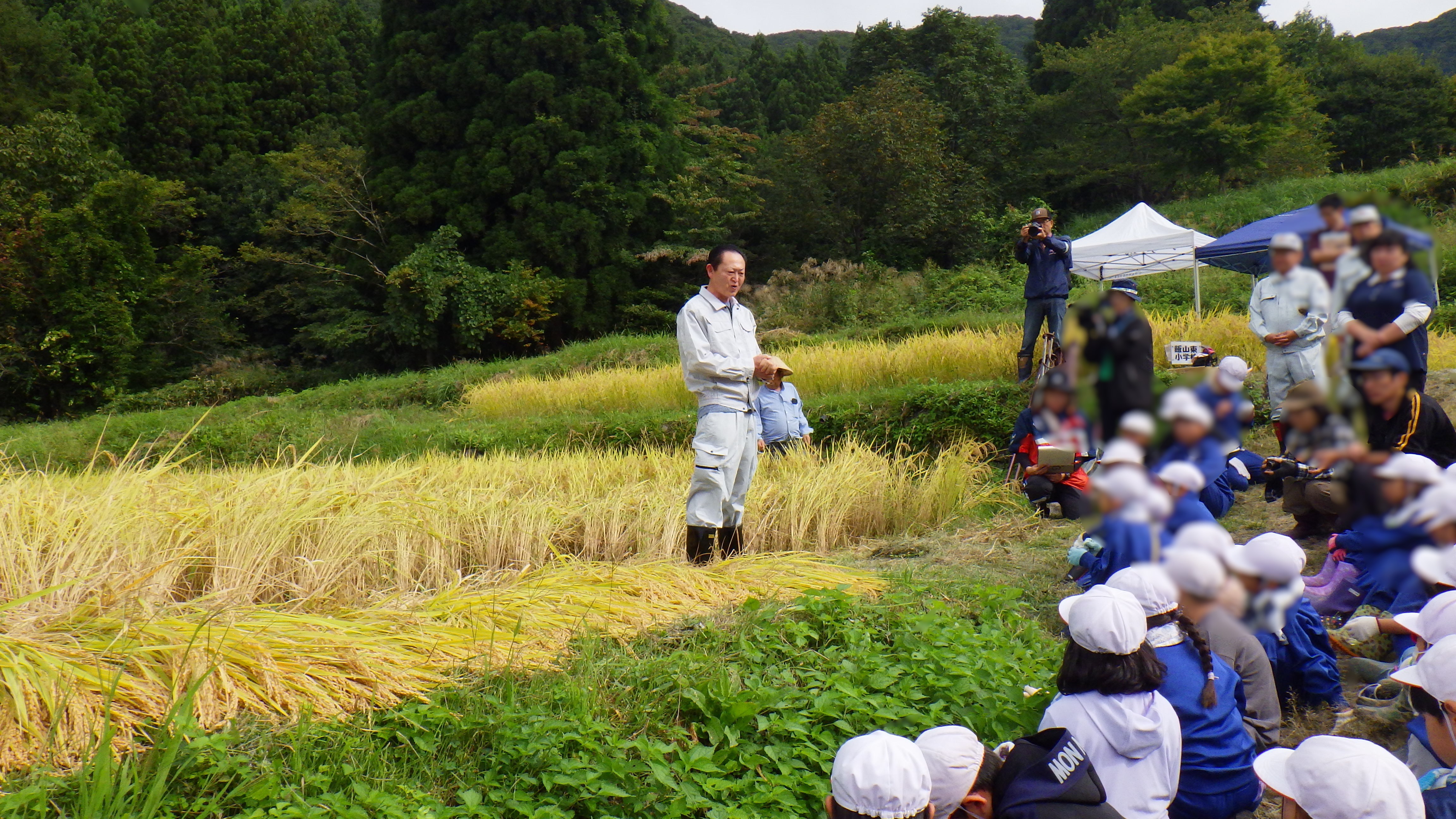 20240926_福島棚田稲刈り.JPG