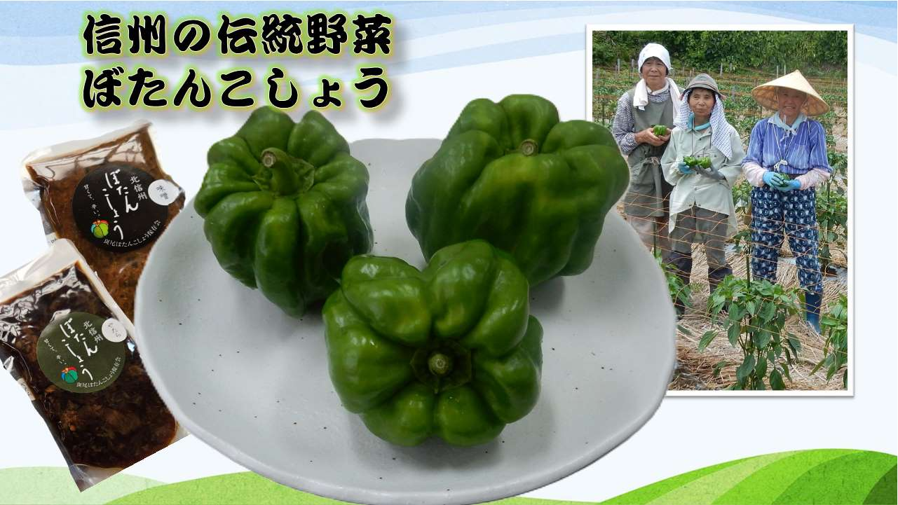 botankoshou_top.jpg