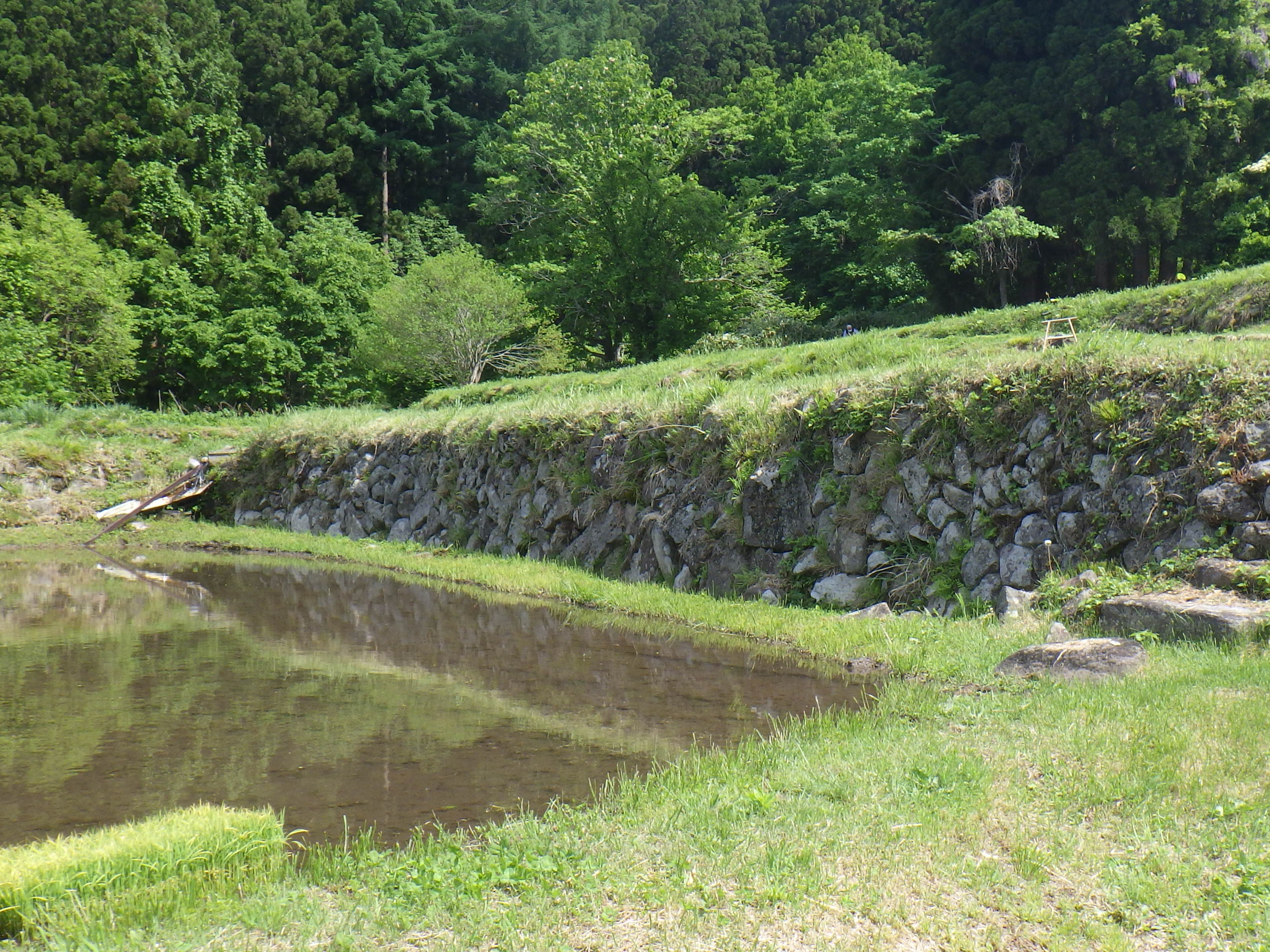 20250523_福島棚田１.JPG