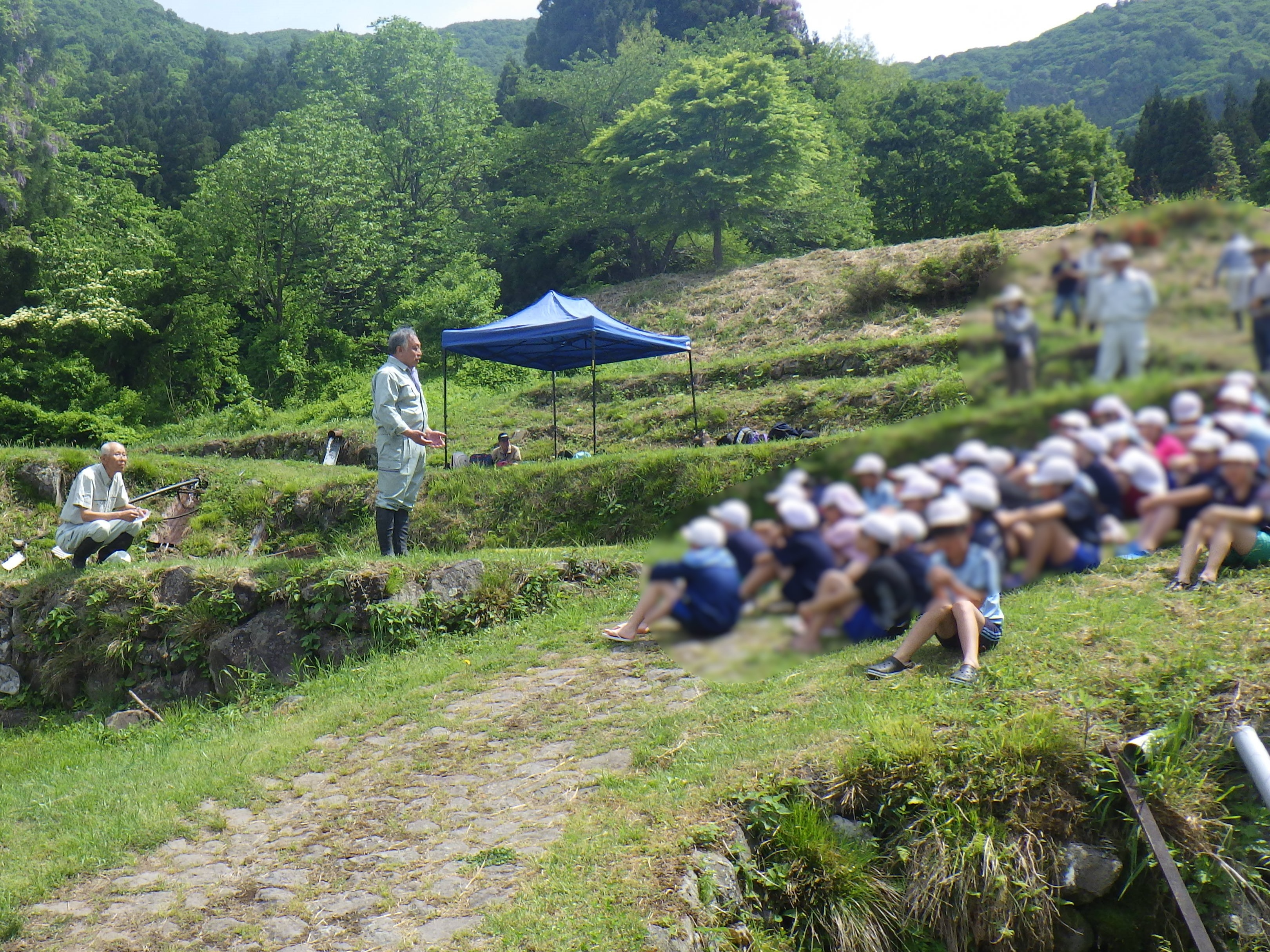 20250523_福島棚田2.JPG
