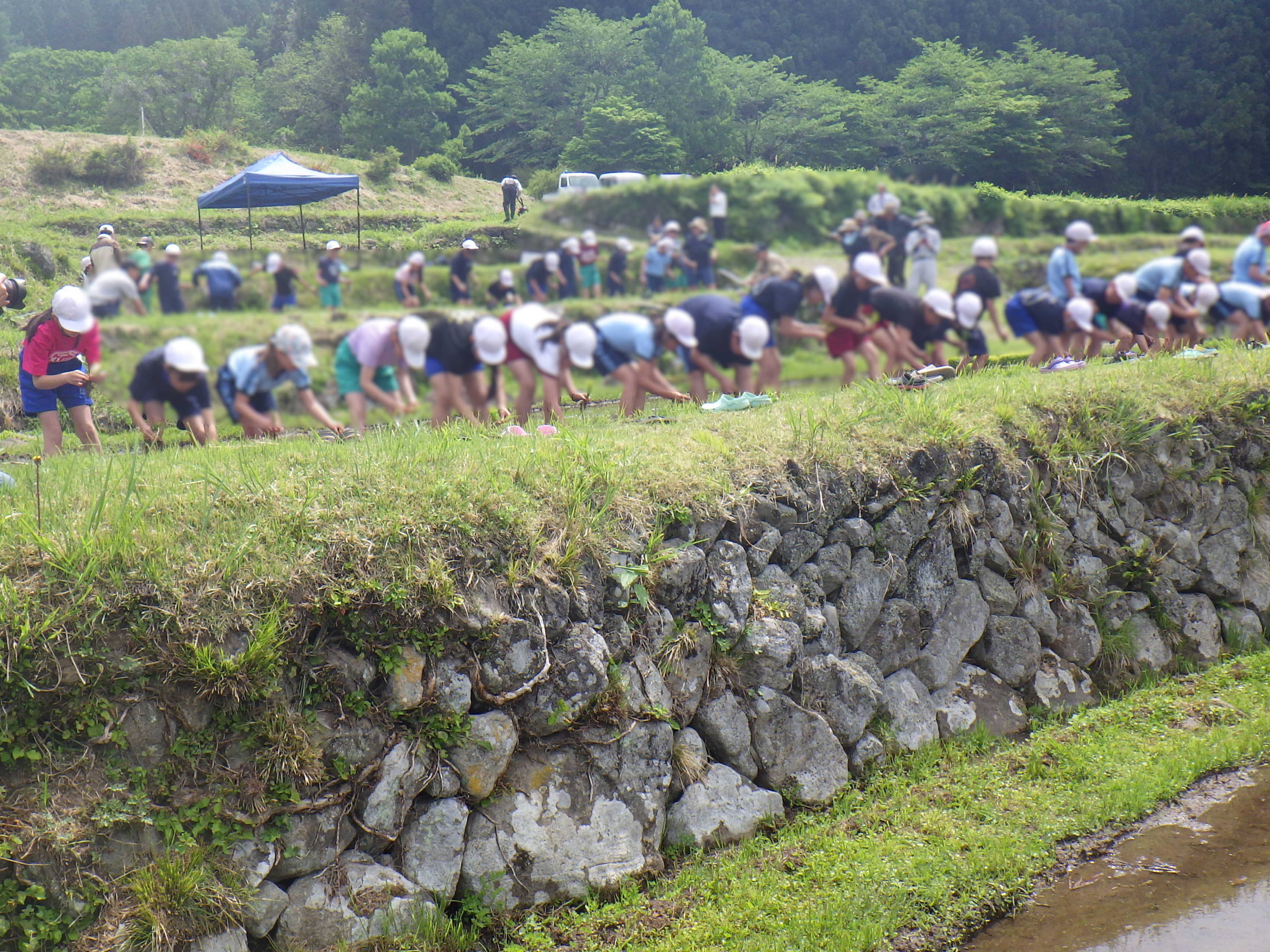 20250523_福島棚田3.JPG