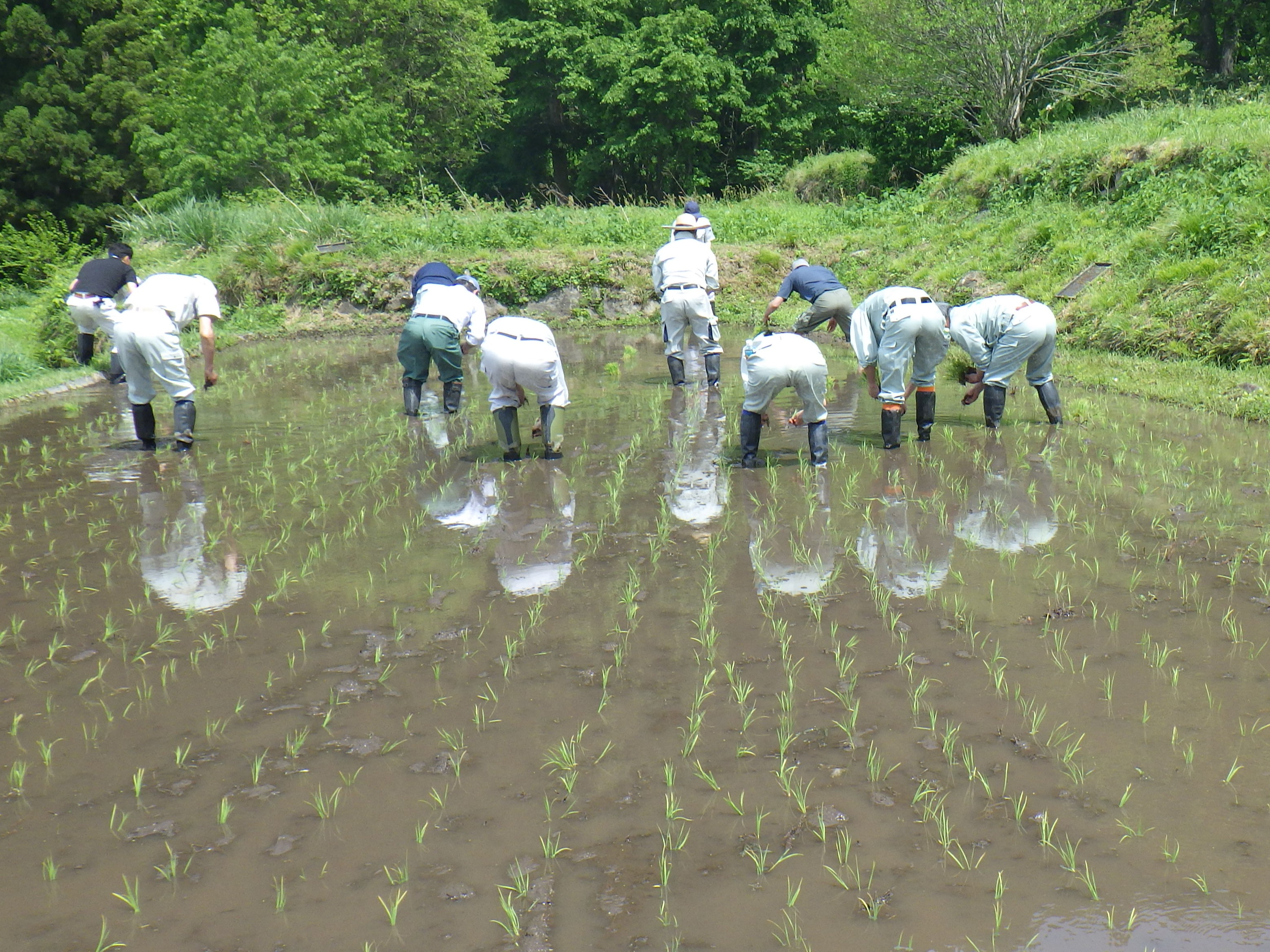 20250523_福島棚田4.JPG