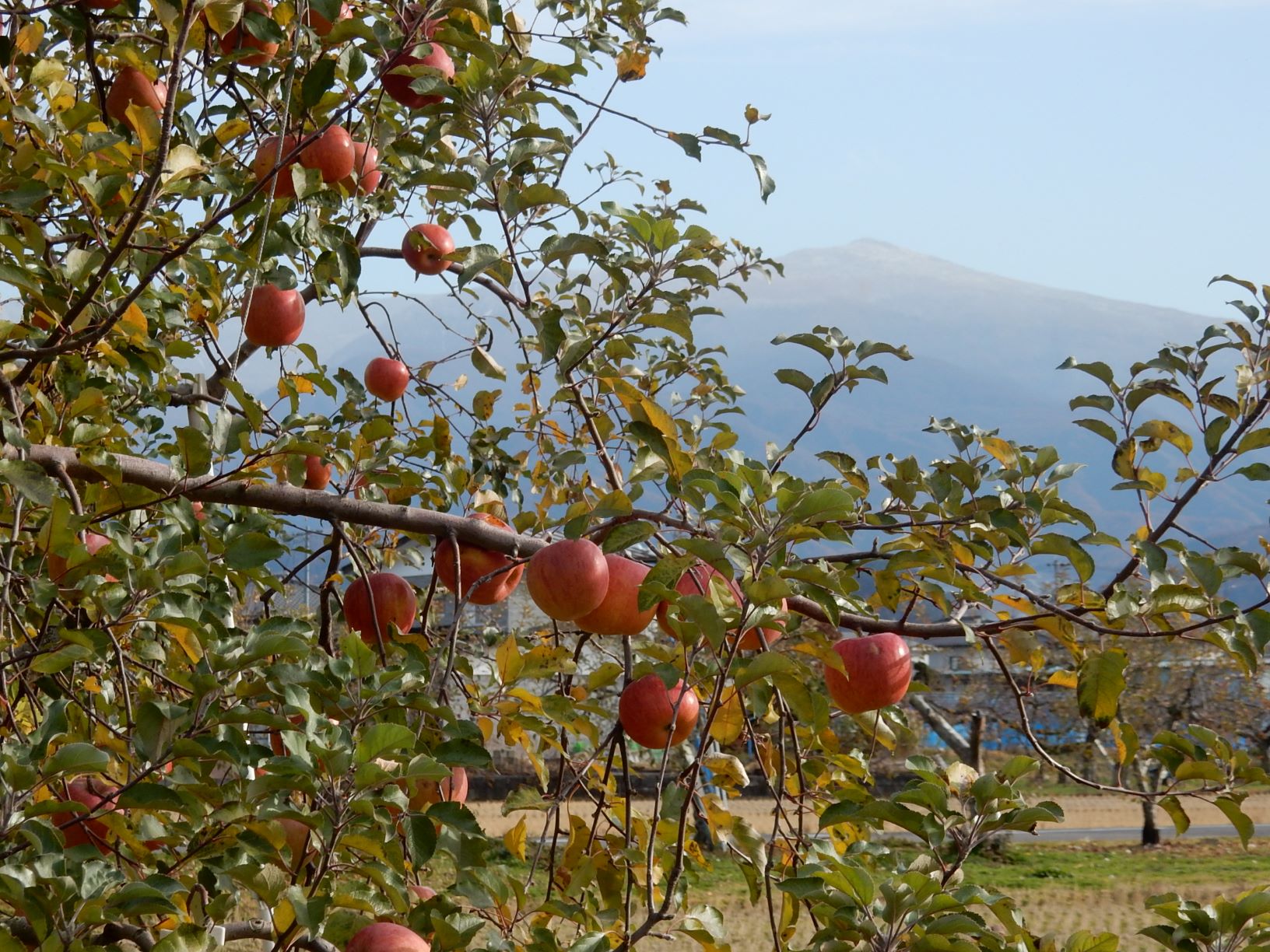 nagano_2018_05.jpg