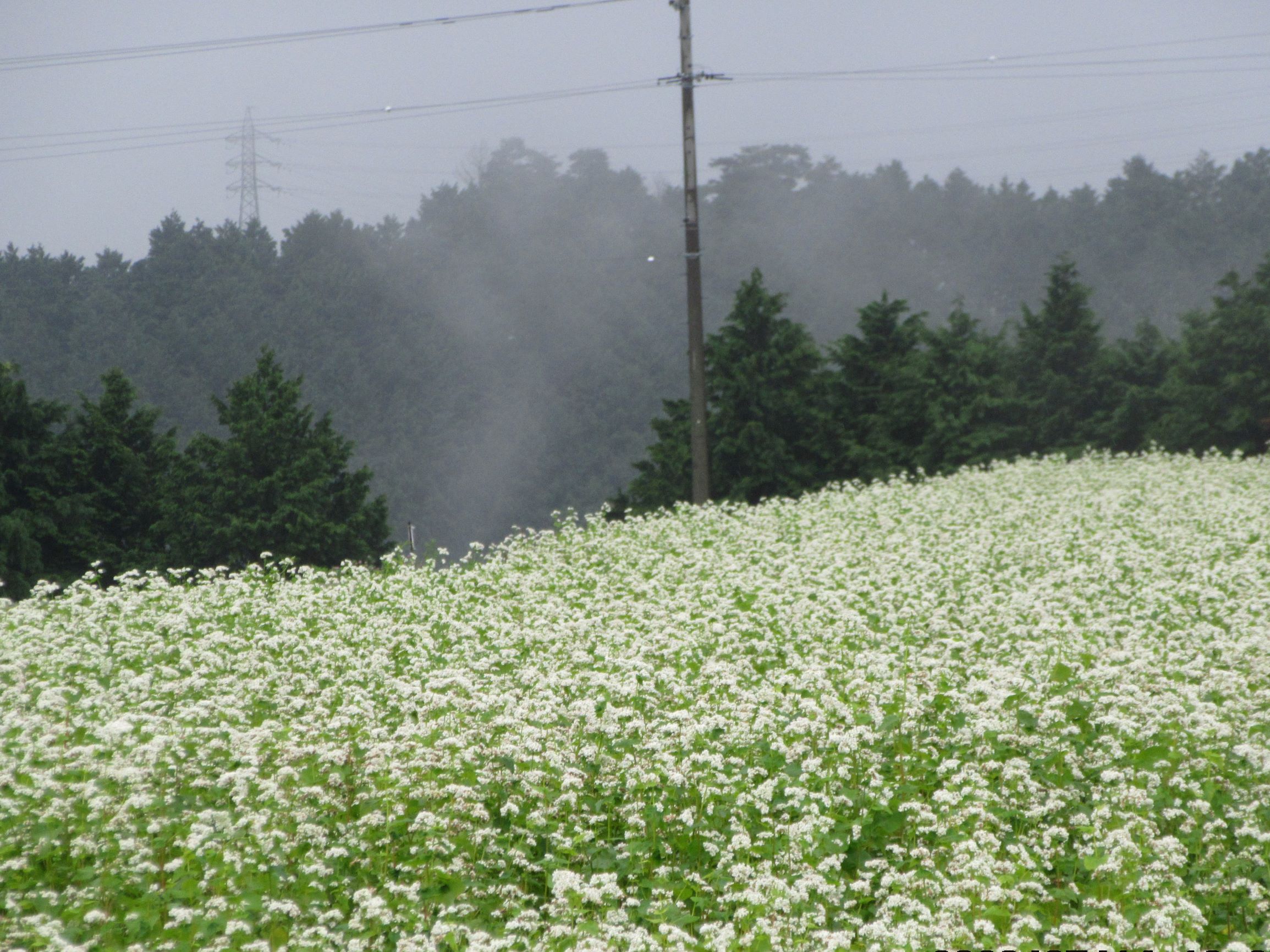 nagano_2020_01.jpg