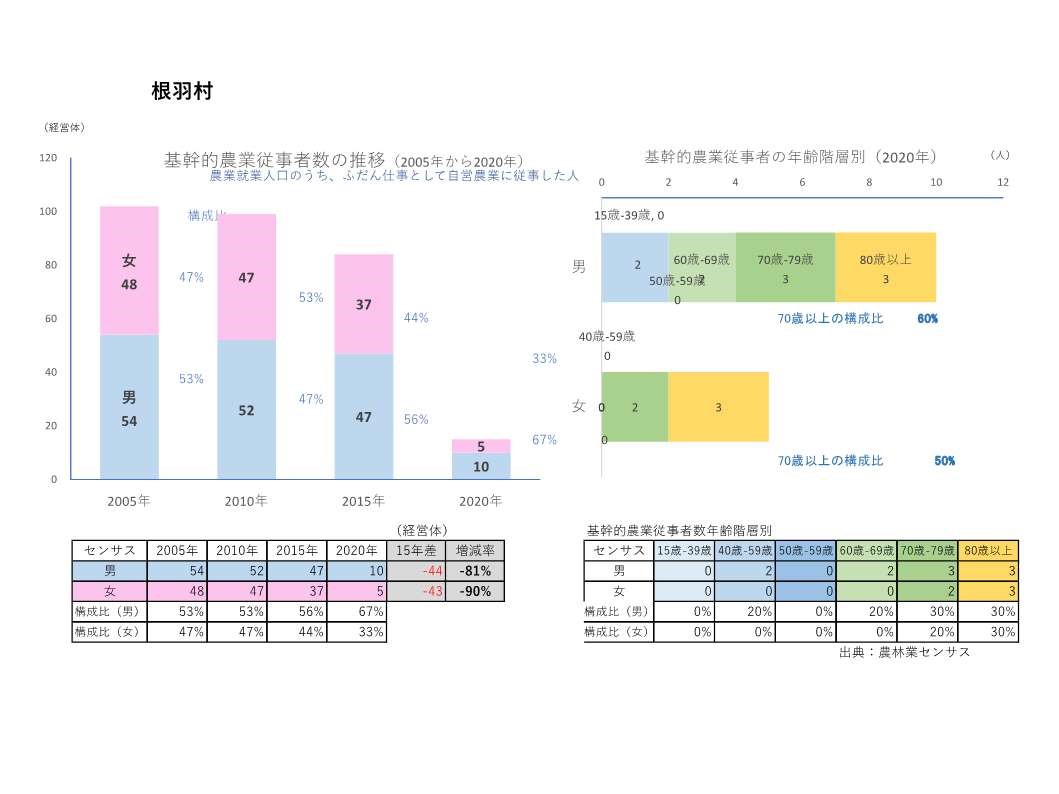 基幹的農業従事者数の推移_根羽村
