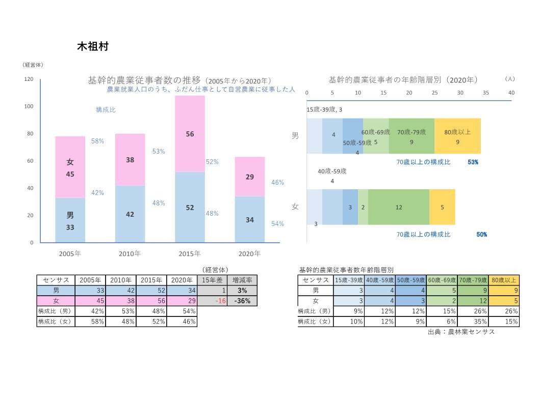 基幹的農業従事者数の推移_木祖村