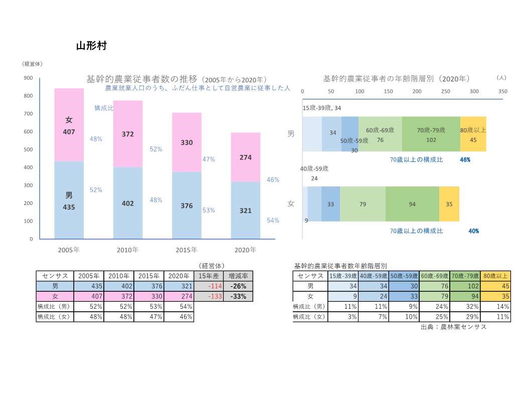 基幹的農業従事者数の推移_山形村