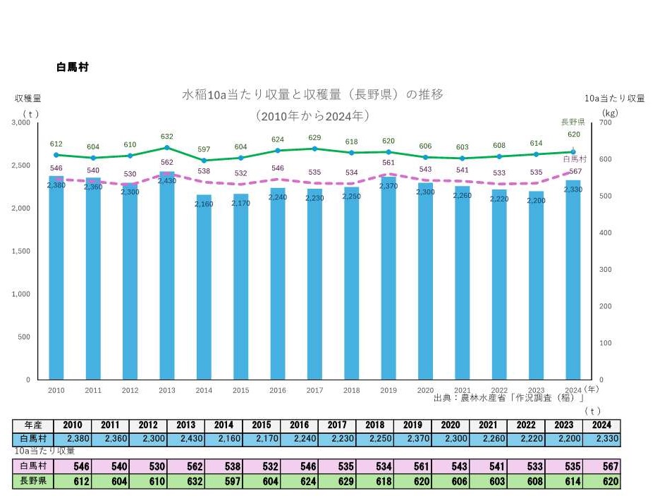 10a当たり収量及び収穫量_白馬村