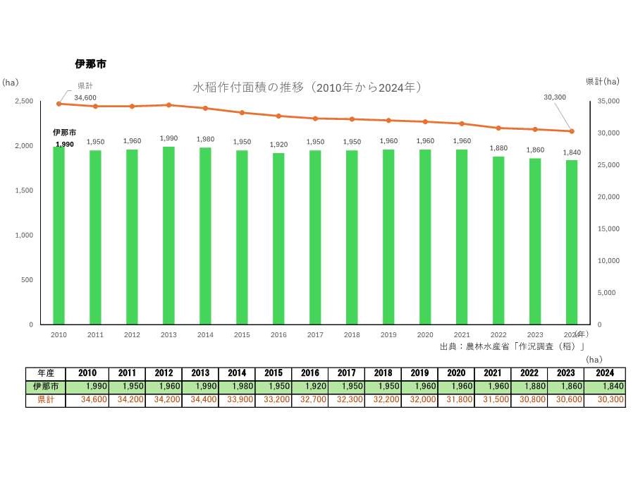 水稲作付面積の推移_伊那市