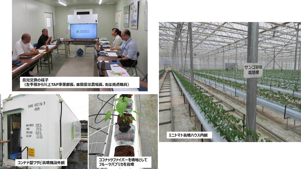 タカミヤ愛菜農場