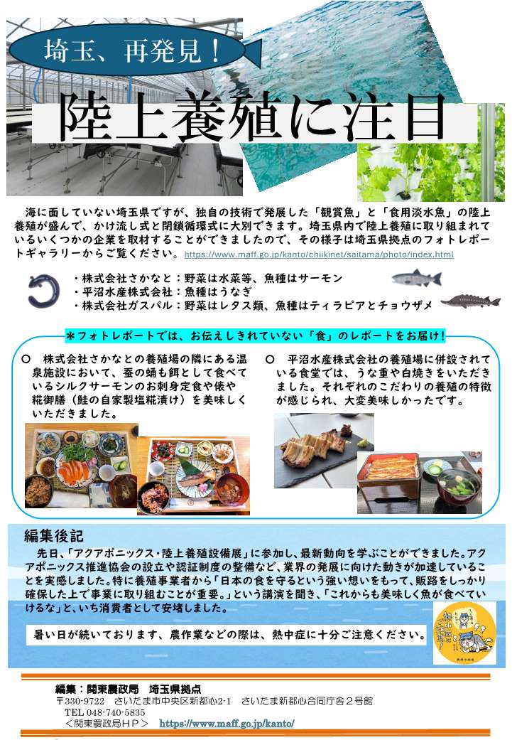 彩ねっとペーパー版VOL112裏面