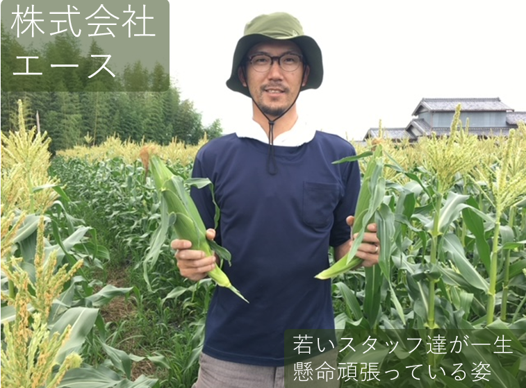 株式会社エース