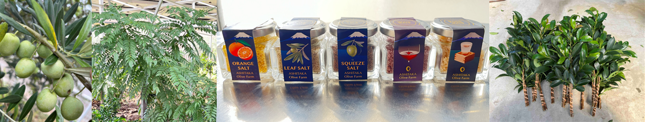 愛鷹オリーブ園