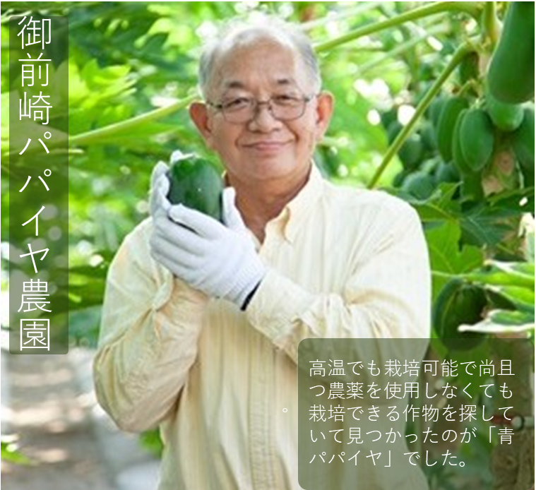 御前崎パパイヤ農園