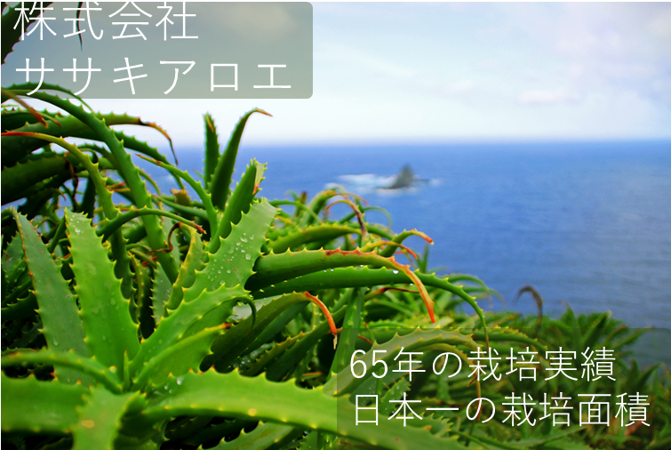 株式会社ササキアロエ