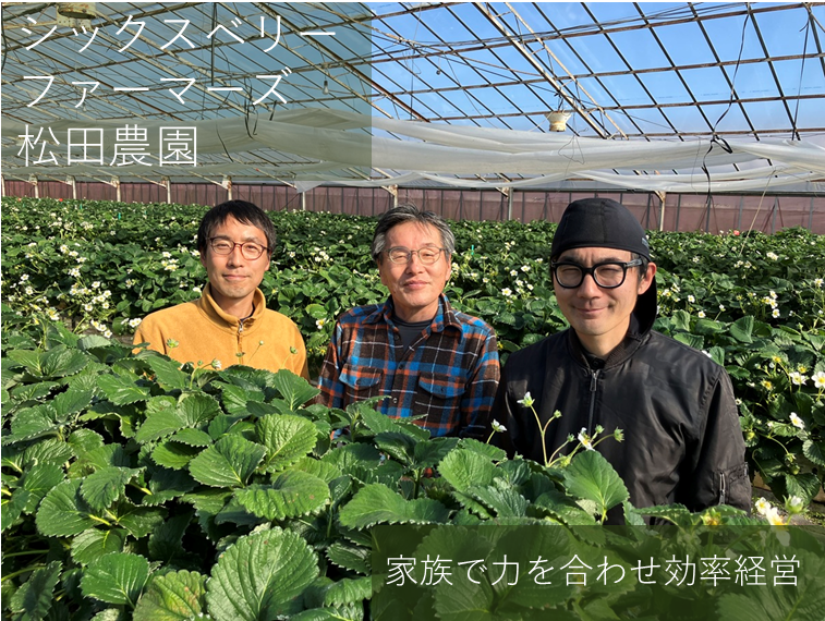 シックスベリーファーマーズ