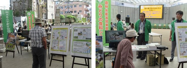 みどりPR活動