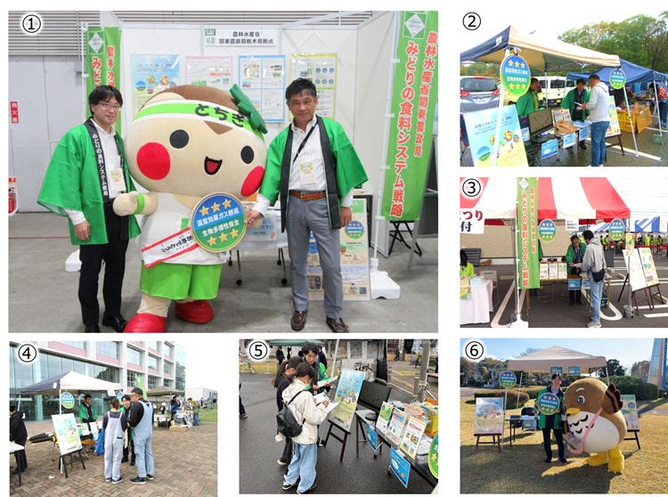 各地イベントでのみどり戦略PRの様子