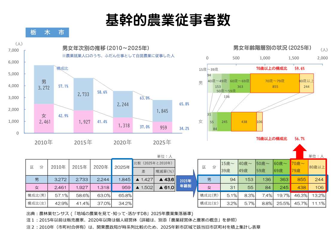 栃木市の基幹的農業従事者の推移表示例