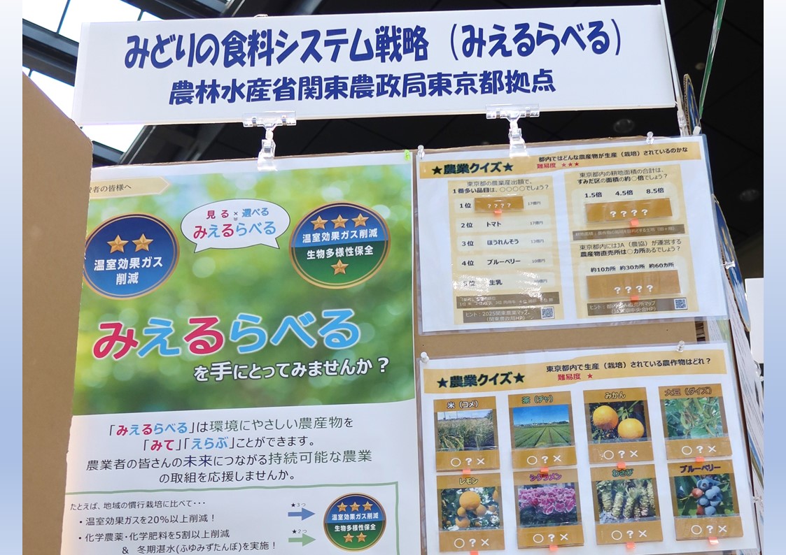 すみだ食育フェス2025