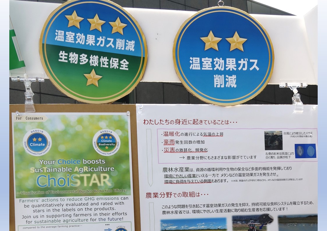 すみだ食育フェス2025