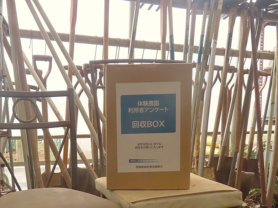 農業体験農園にアンケート箱を設置した様子