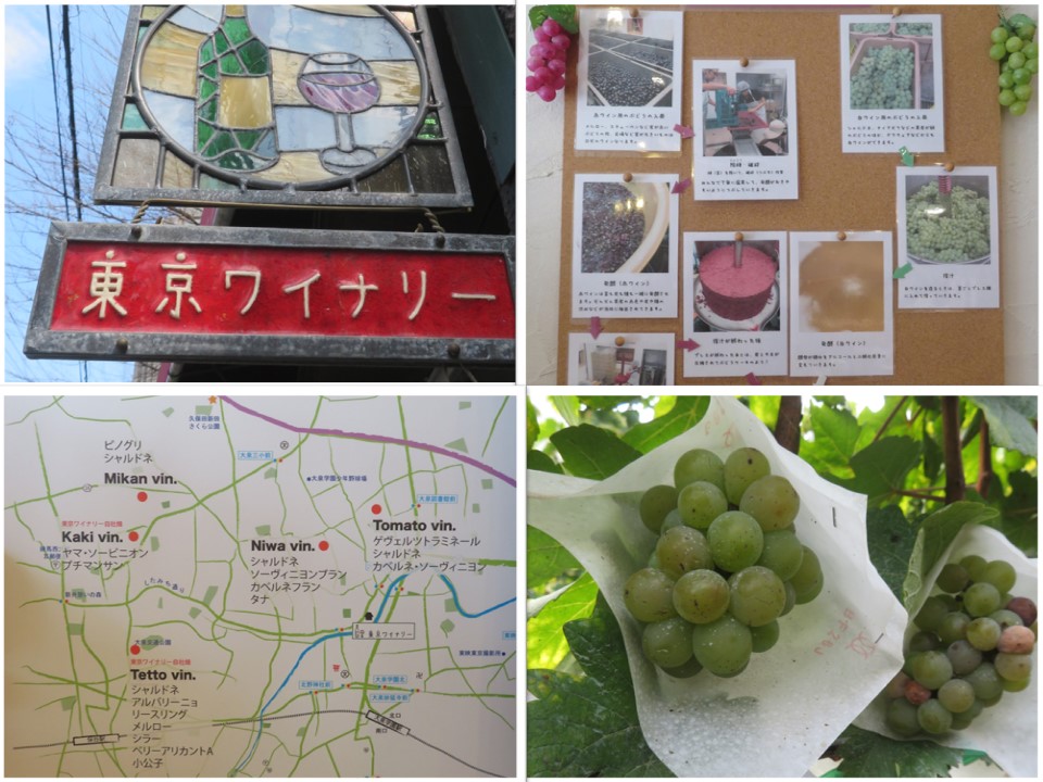 東京ワイナリー