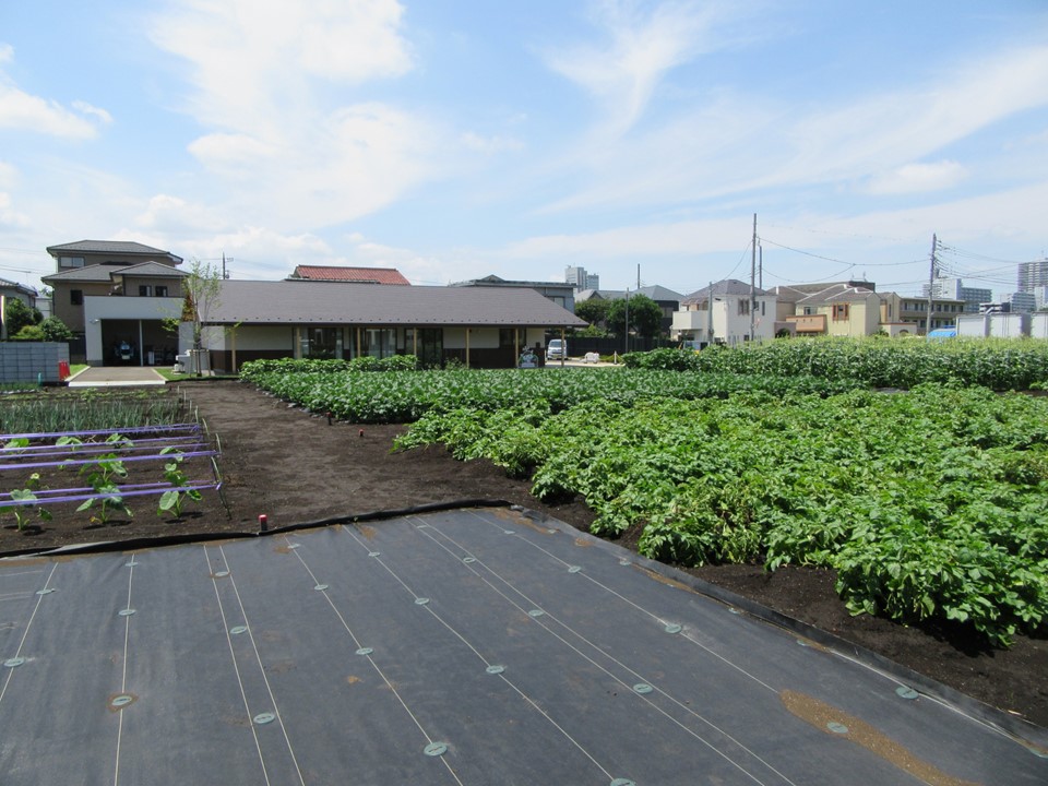 練馬区立高松みらいのはたけ