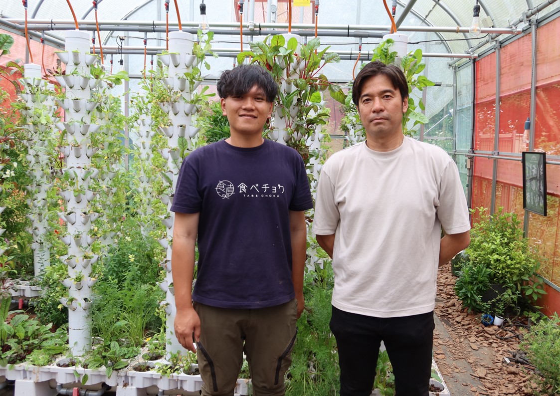 Iwakura Experience