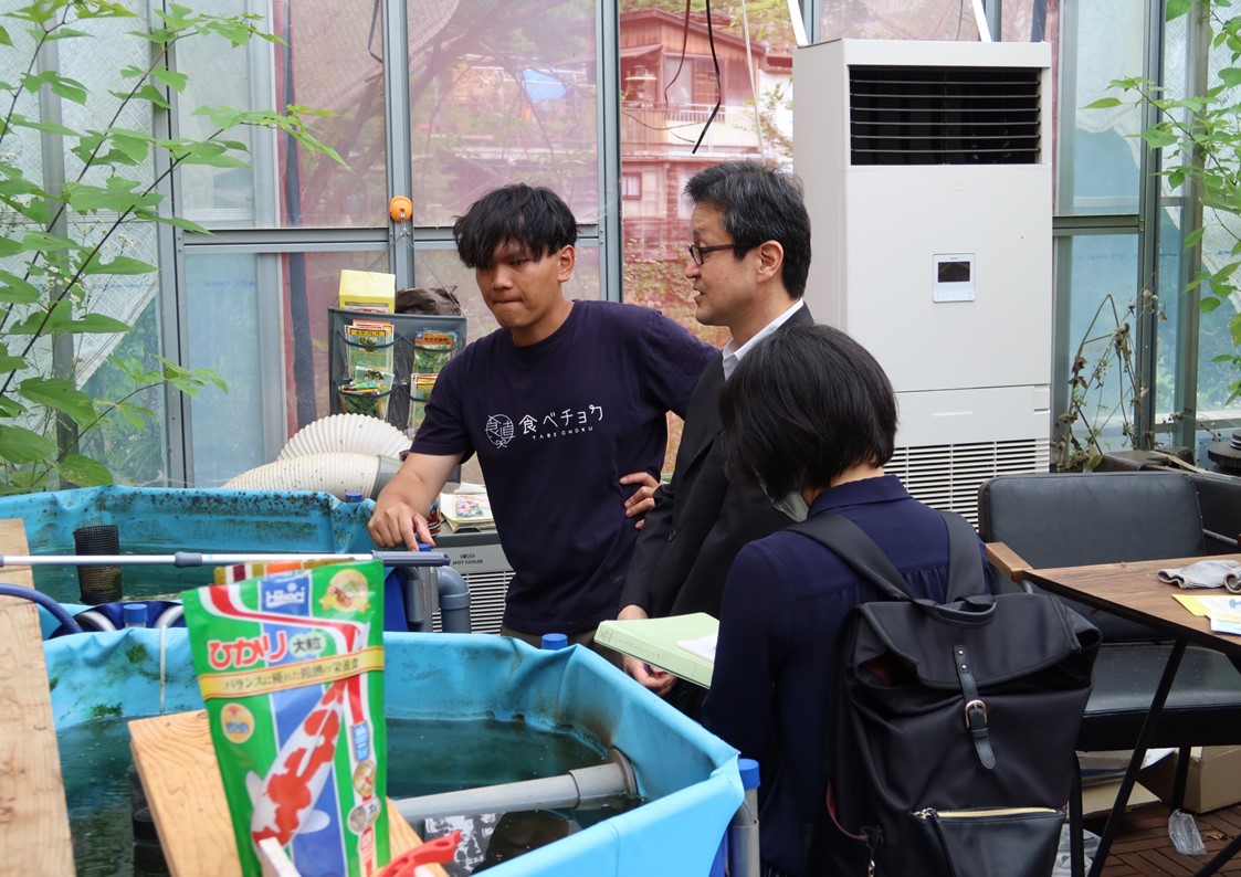 Iwakura Experience