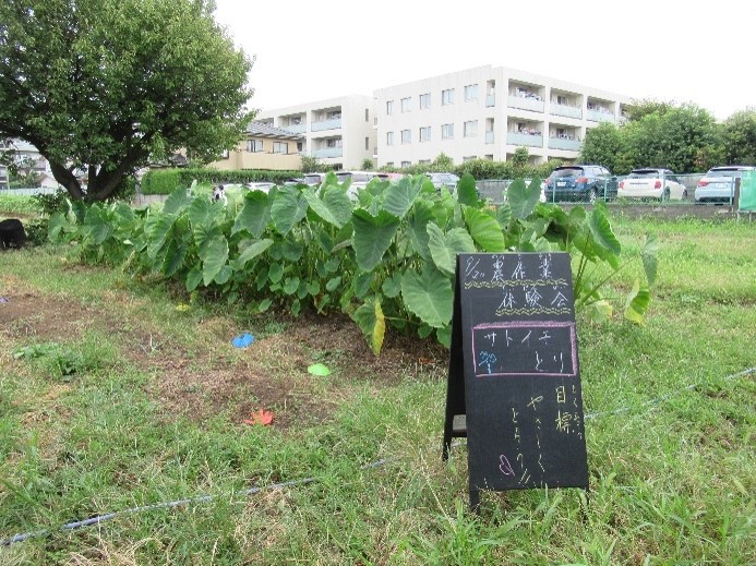 世田谷区農福連携農園