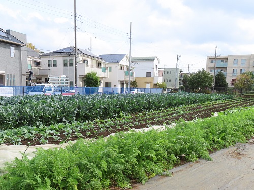 世田谷区新規就農者