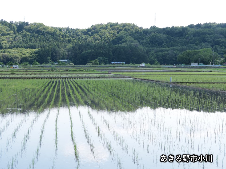 田園風景