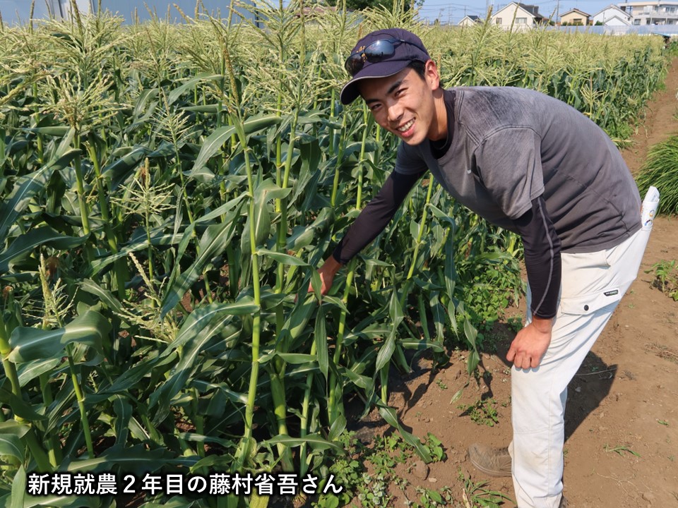 藤村省吾