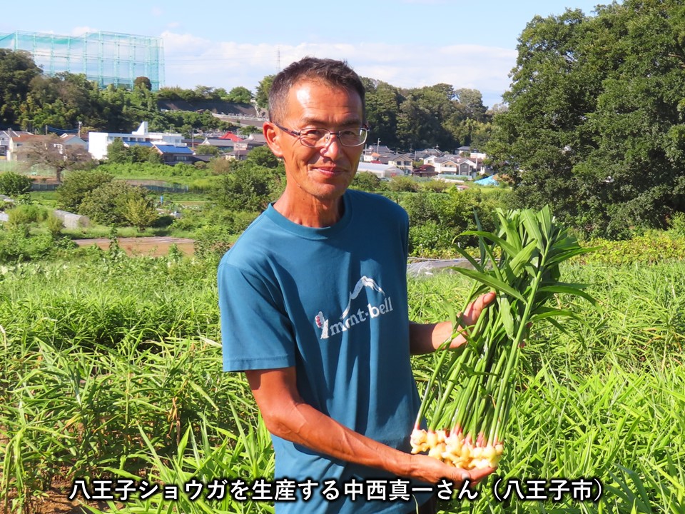 八王子ショウガ