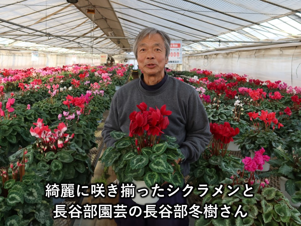 長谷部園芸